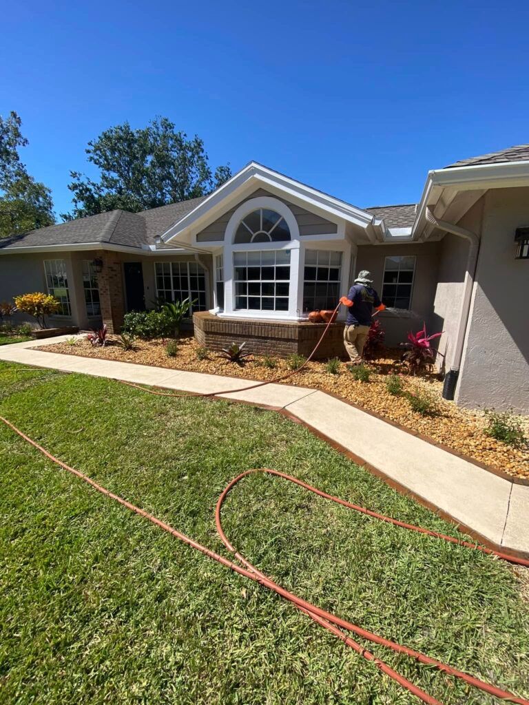 Courtyard garden with planting beds and paved surfaces.
