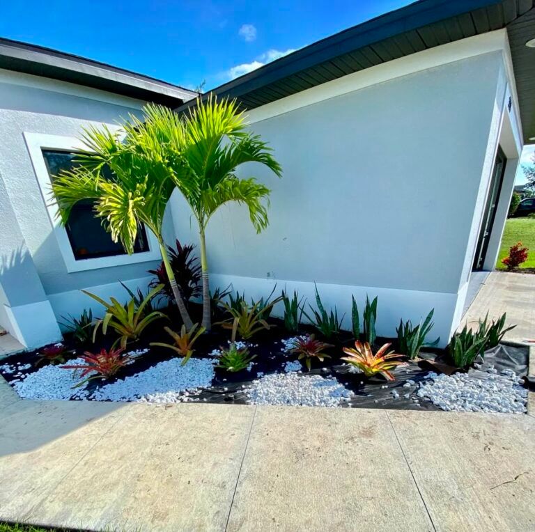 Palms and low foliage in a mulched planting bed beside a white house and concrete walk.