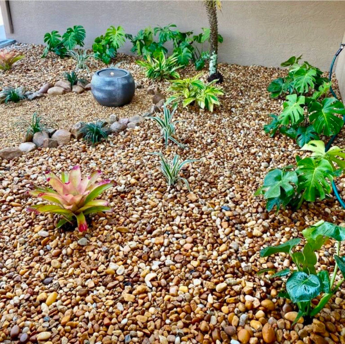 Mulched planting bed with a curved edge and surrounding lawn.