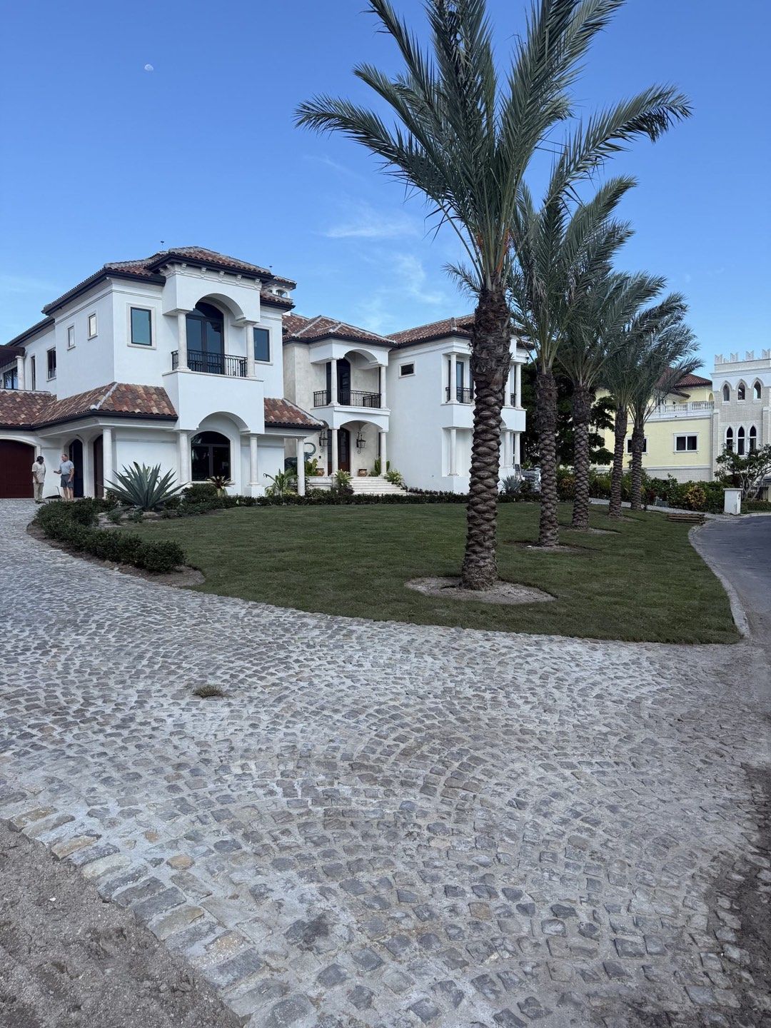 Structured Florida entry landscape with palms, stone, and a clean front approach
