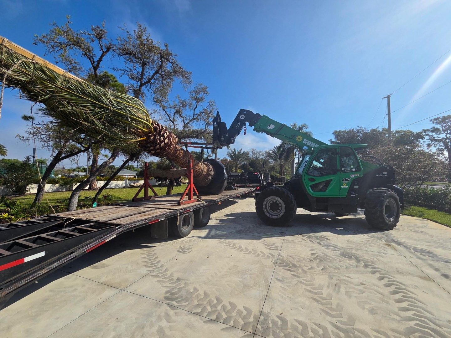 Landscape removal equipment clearing mature palms and overgrowth from a residential property